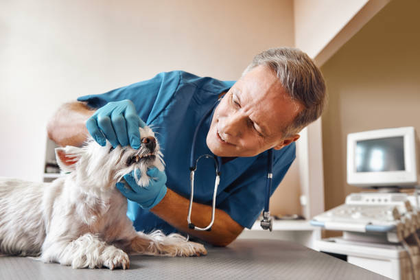 Best Emergency Broken Tooth Repair in Madison, AL